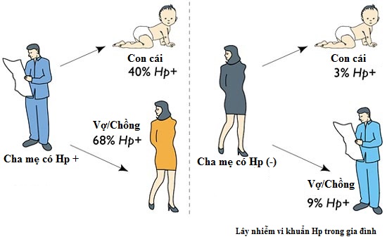 Tổng hợp những kiến thức cần biết về vi khuẩn HP gây bệnh dạ dày